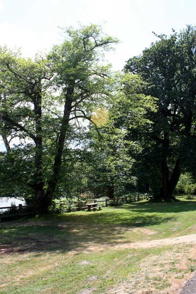 picnic area